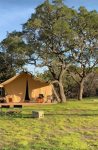 Glamp in Texas wine country